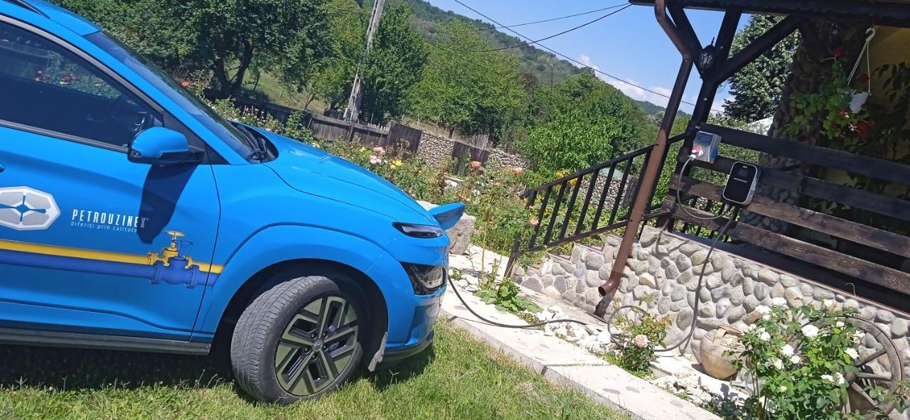 Pensiunea Gradinarilor Cu Ciubar Si Statie De Incarcare Electrica Auto Comanesti  Ngoại thất bức ảnh